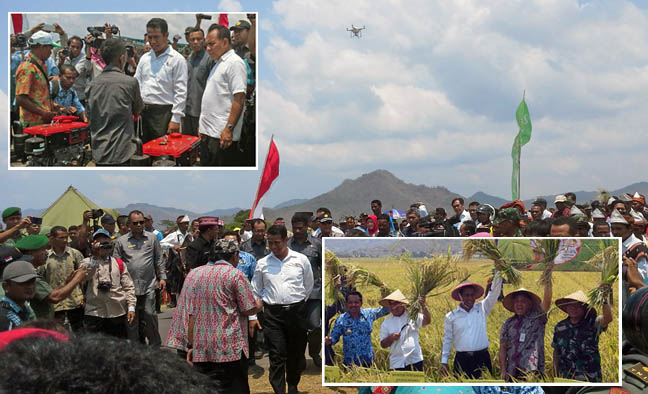 Defisit Beras, NTT Ditantang Mentan Buka 30 Ribu Hektar Sawah Baru